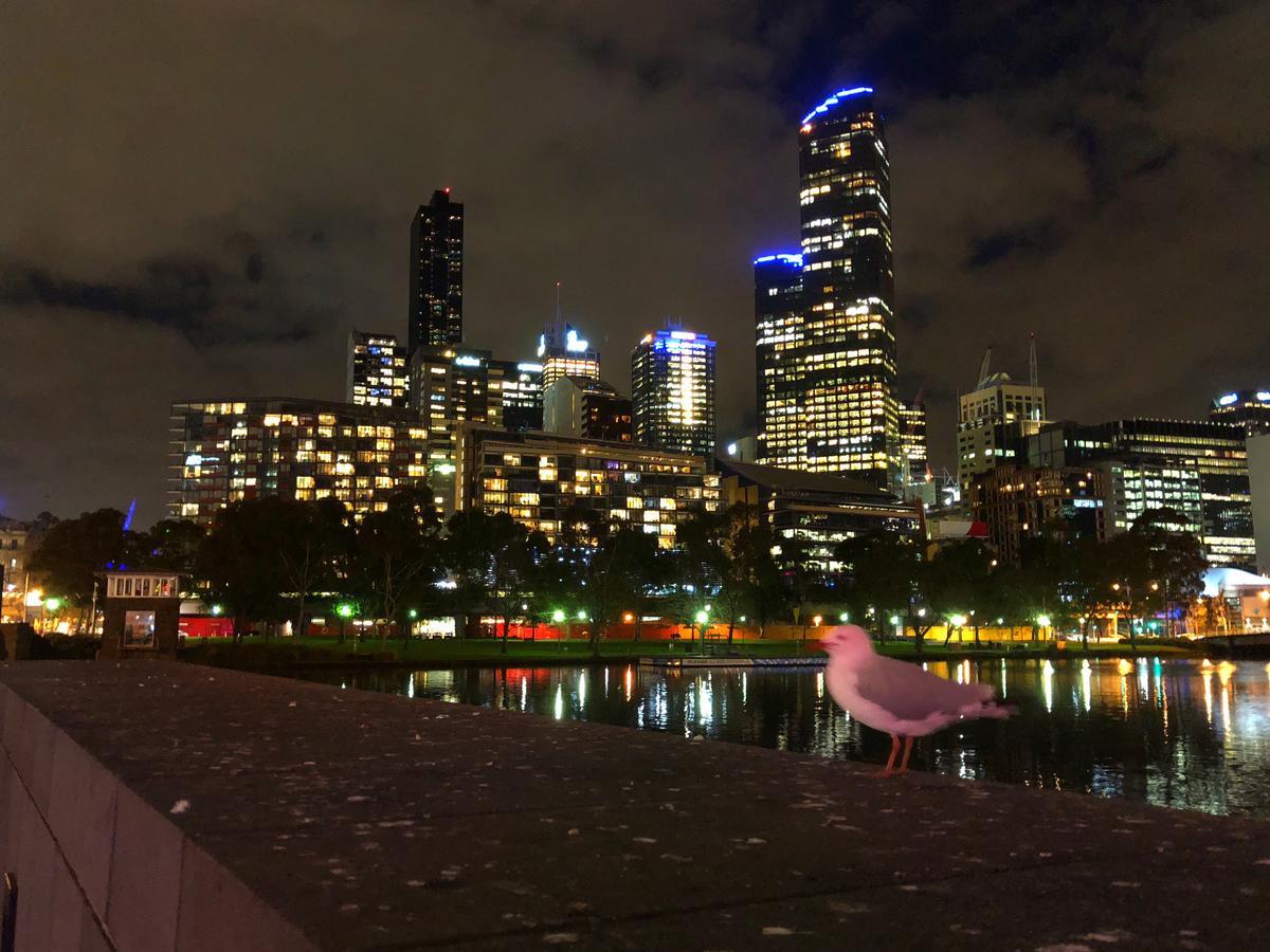 Melbourne River Views Apartment Екстериор снимка